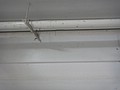 DSC03389.JPG