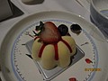 IMG_4900.jpg