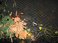 DSC03540.JPG
