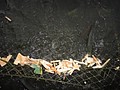 DSC03541.JPG