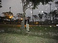 DSC03549.JPG