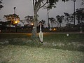DSC03550.JPG