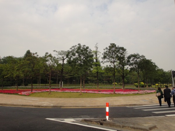 DSC03745.JPG