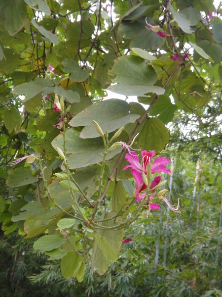 DSC03764.JPG