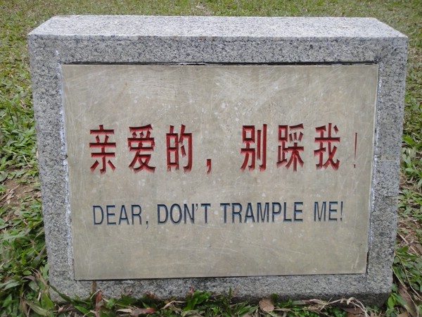 DSC03866.JPG