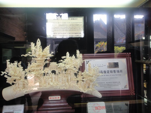 DSC04139.JPG