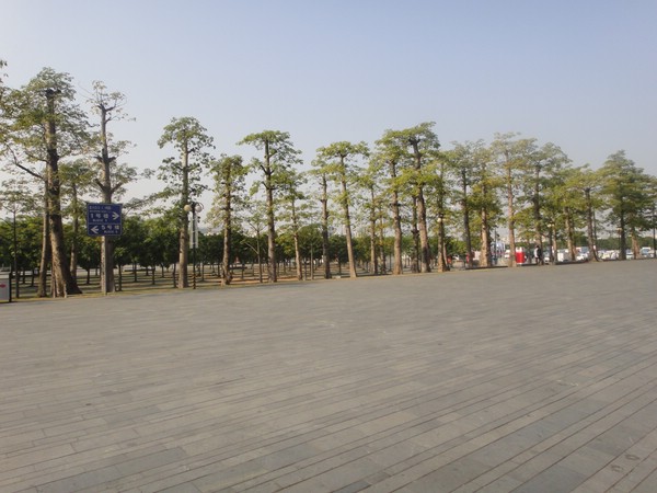 DSC04160.JPG
