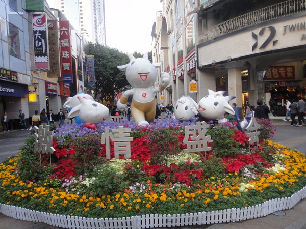 DSC04229.JPG