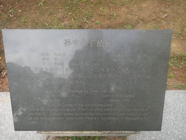 DSC04285.JPG