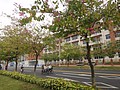 DSC03749.JPG