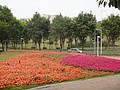 DSC03751.JPG