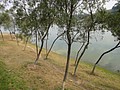 DSC03781.JPG