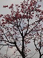 DSC03789.JPG