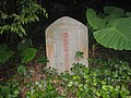 DSC03862.JPG