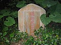 DSC03863.JPG