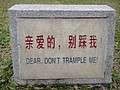 DSC03866.JPG