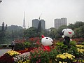 DSC03875.JPG