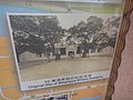 DSC03971.JPG