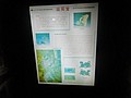 DSC03974.JPG