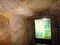 DSC03976.JPG