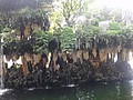 DSC04006.JPG