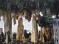 DSC04007.JPG