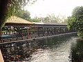DSC04008.JPG
