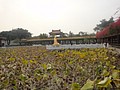 DSC04009.JPG