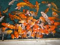 DSC04029.JPG