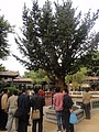 DSC04035.JPG