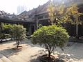 DSC04134.JPG