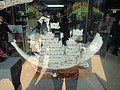DSC04137.JPG
