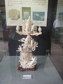 DSC04138.JPG