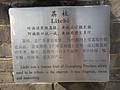 DSC04146.JPG
