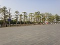 DSC04160.JPG