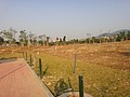 DSC04184.JPG