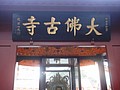 DSC04220.JPG