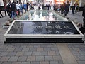 DSC04236.JPG