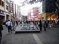 DSC04237.JPG