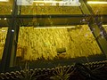 DSC04256.JPG