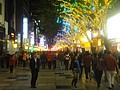 DSC04259.JPG