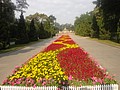 DSC04269.JPG