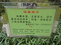 DSC04291.JPG