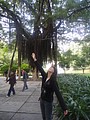 DSC04306.JPG