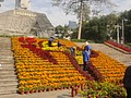 DSC04310.JPG