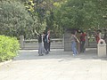 DSC04312.JPG
