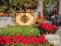 DSC04332.JPG