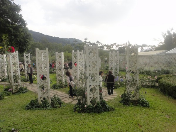 DSC04420.JPG