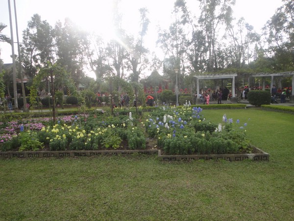 DSC04444.JPG