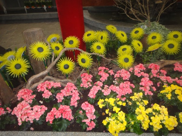 DSC04460.JPG